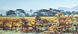 Autumn Vineyards - Paarl District | 2013 | Oil on Canvas | 40 X 70 cm